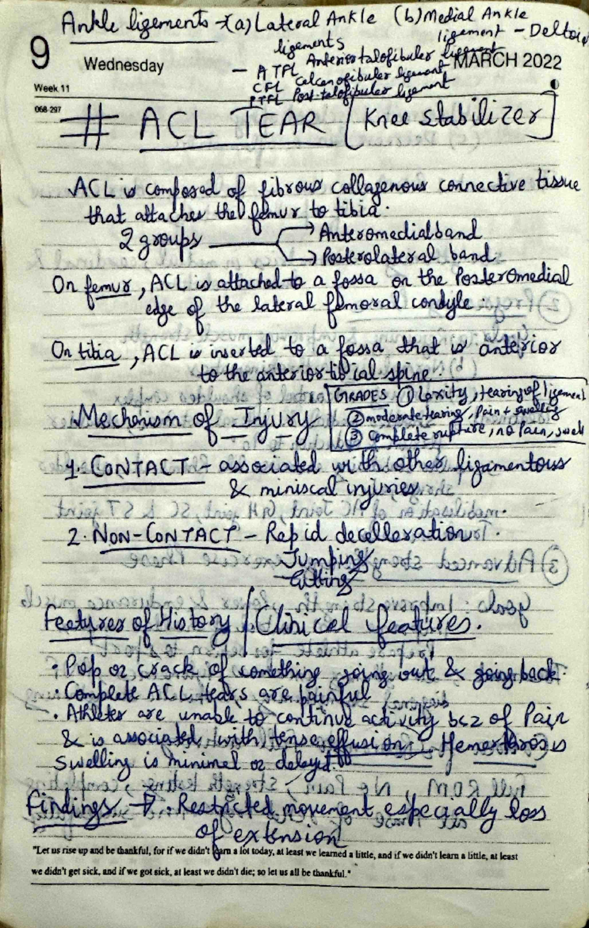 Acl notes - Physiotherapy - I j - Studocu