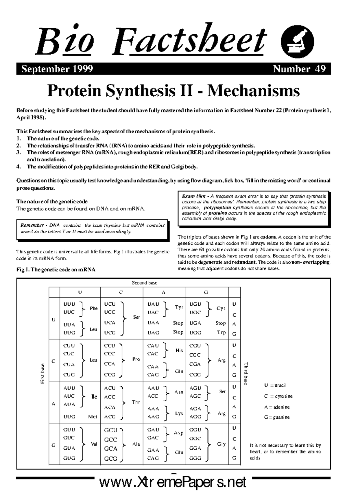 Bio Factsheet 49: Protein Synthesis II Mechanisms and Exam Tips - Studocu