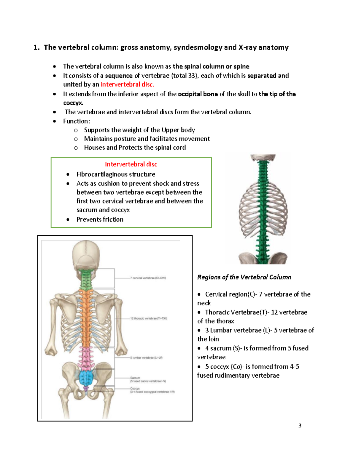 The vertebral column (Golden notes) - 1. The vertebral column: gross ...