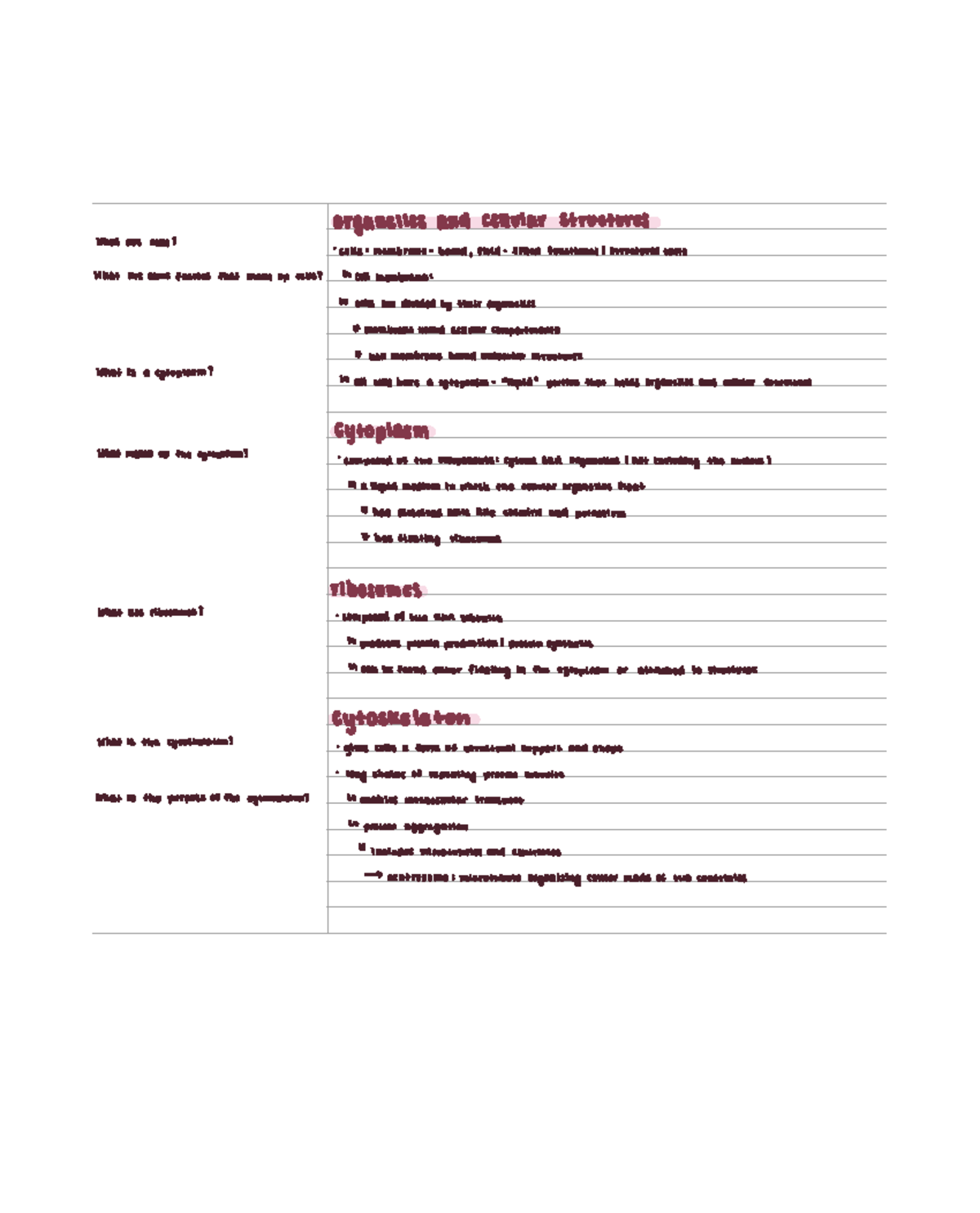 Cell Structures and Functions: Organelles Overview - BIOL101 Notes ...