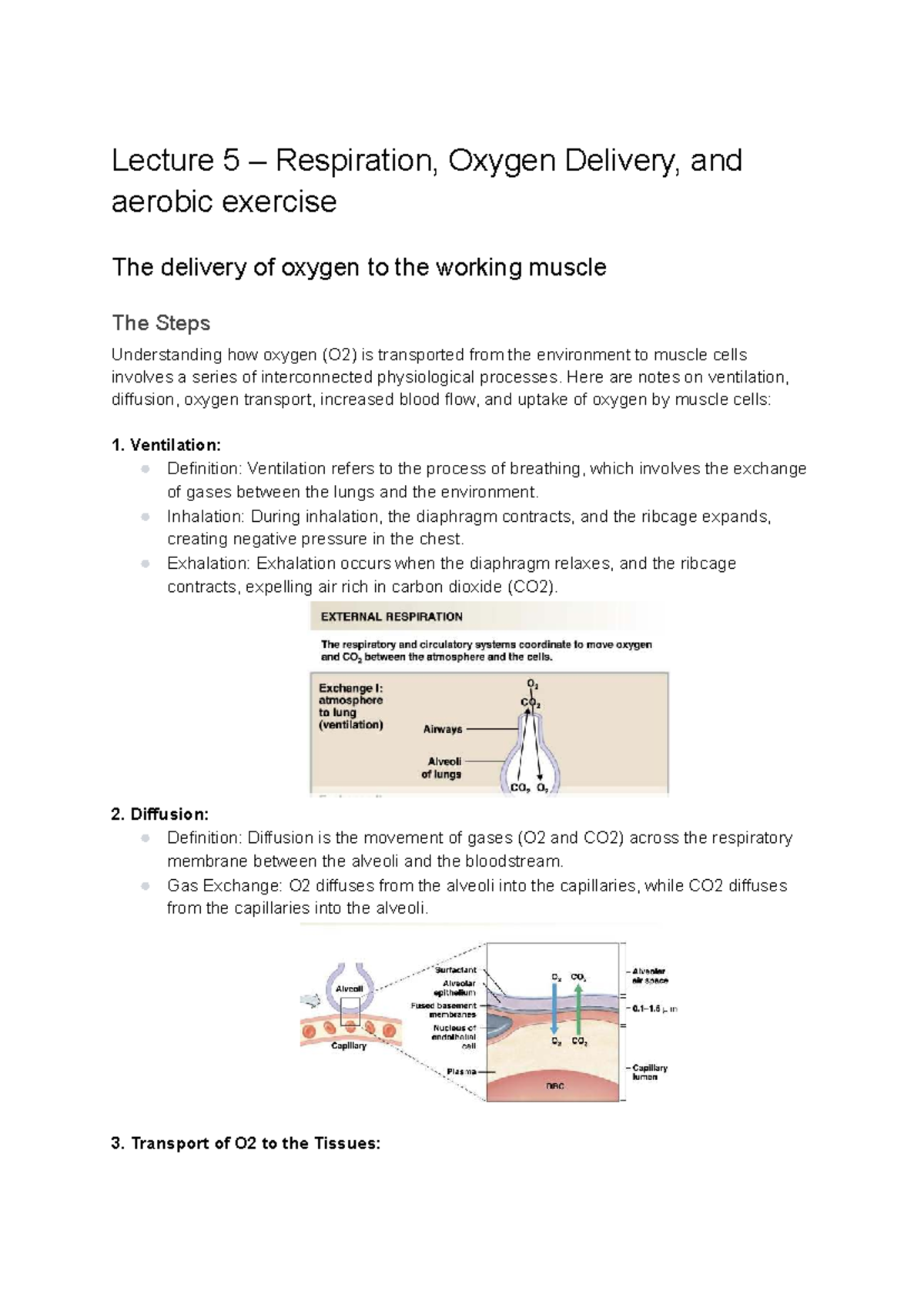 Lecture 5: Respiration, O2 Delivery & Aerobic Exercise Insights - Studocu