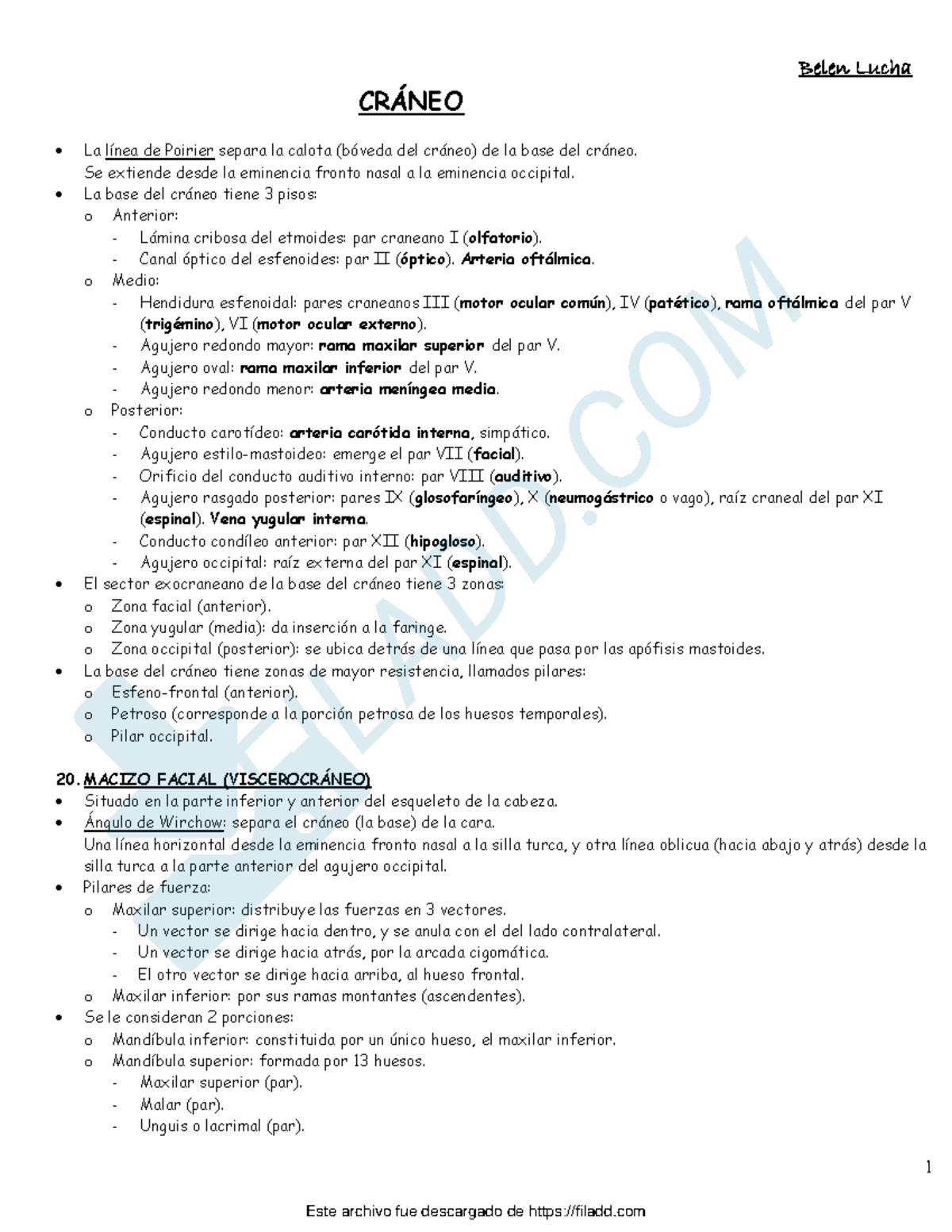 Final exam notes for anatomy ANAT 101: Cráneo y cara - Studocu