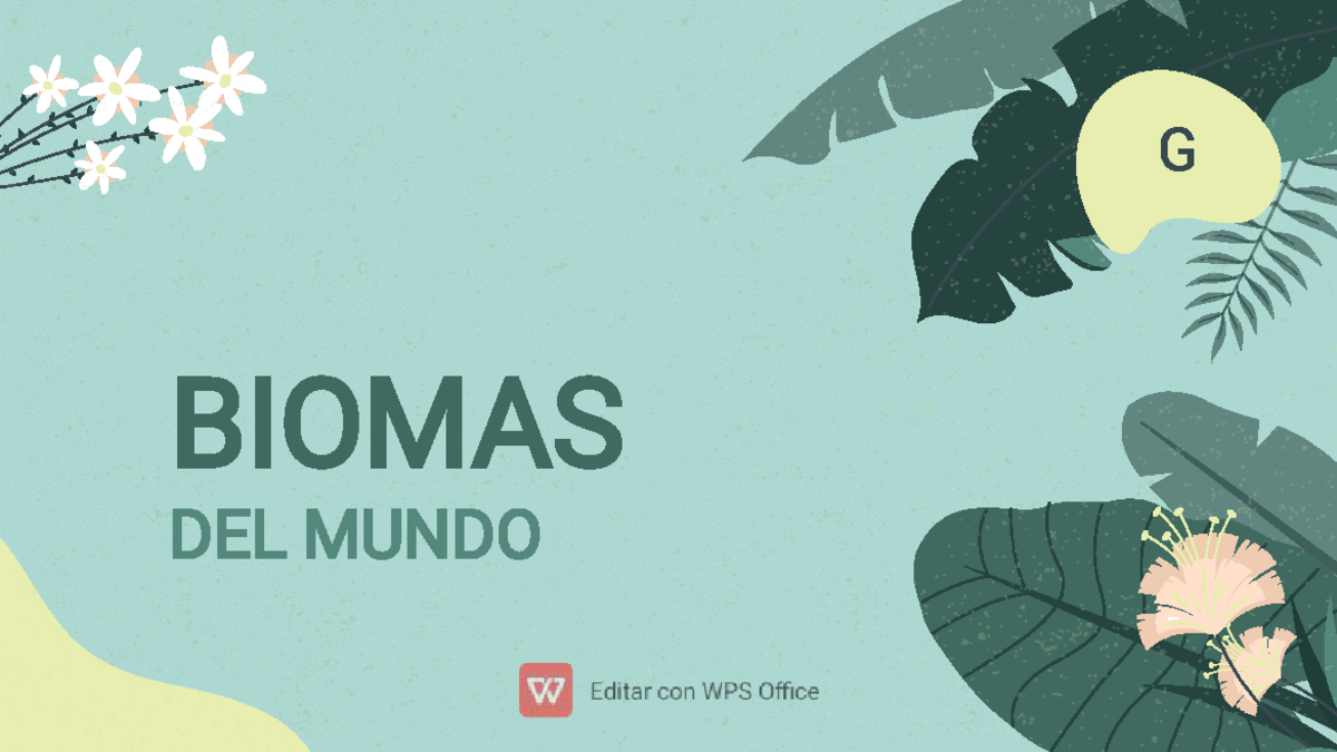 Regiones Biogeográficas - G BIOMAS DEL MUNDO BIOGEOGRAFÍA Distribución ...