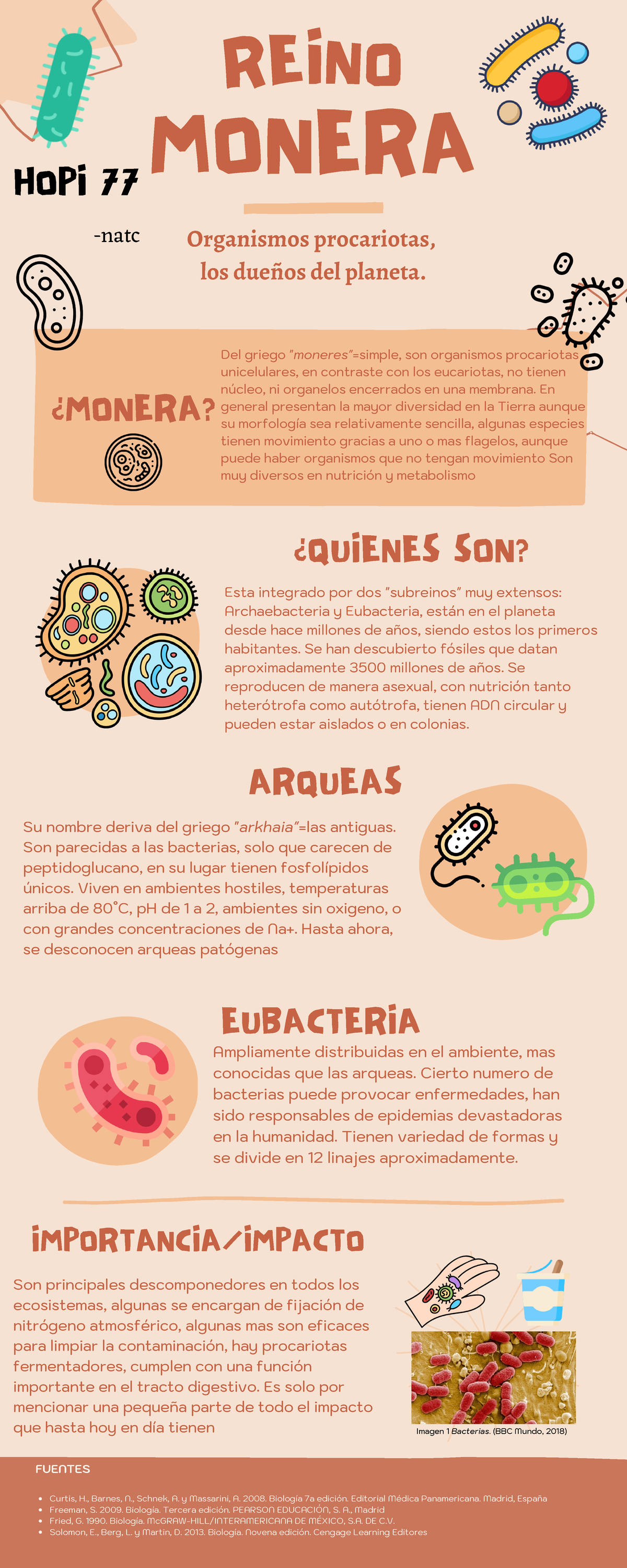 Reino Monera: Arqueas y Eubacterias en los Ecosistemas - Studocu