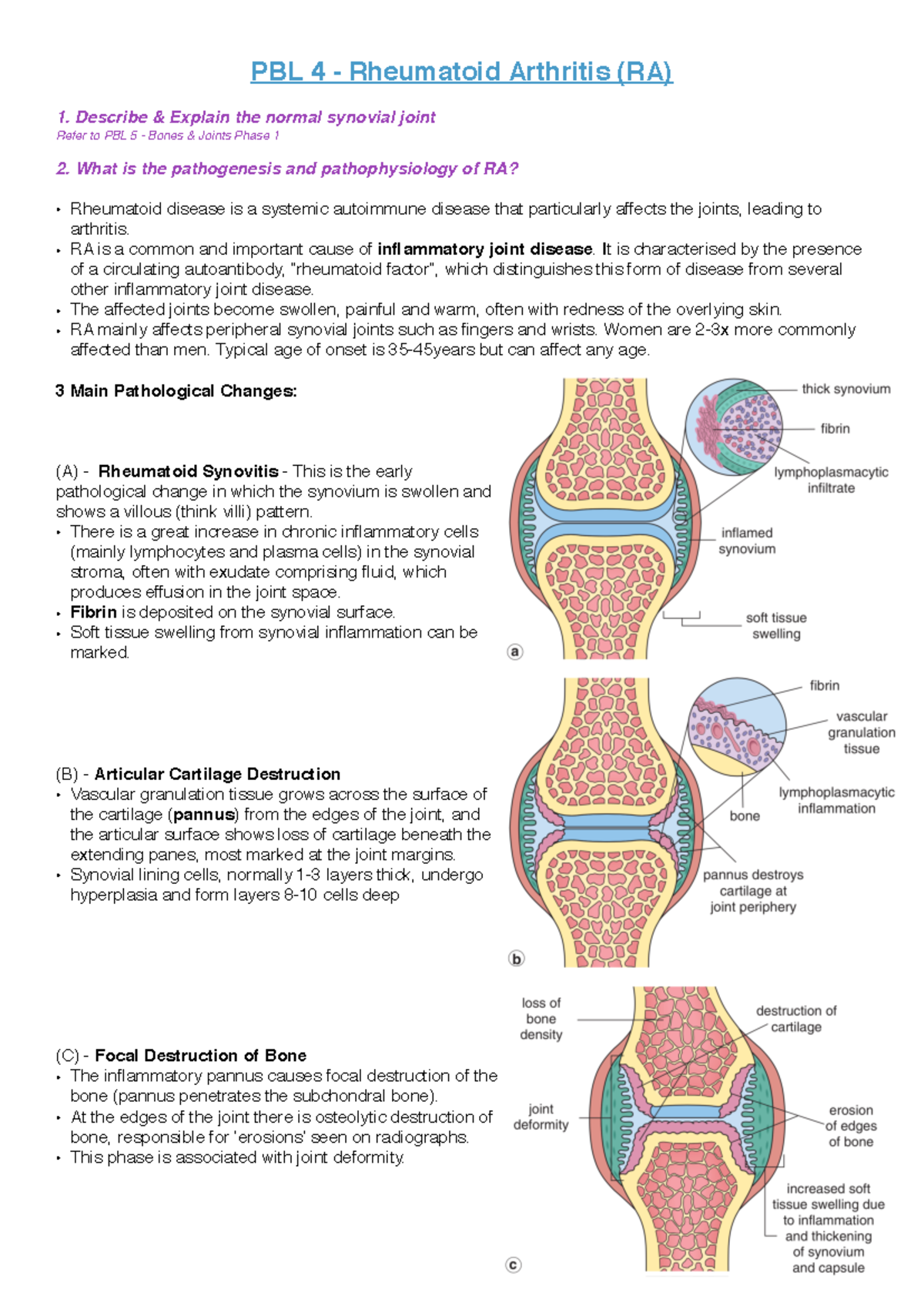 PBL 4 - In-Depth Study of Rheumatoid Arthritis (RA) Pathophysiology ...