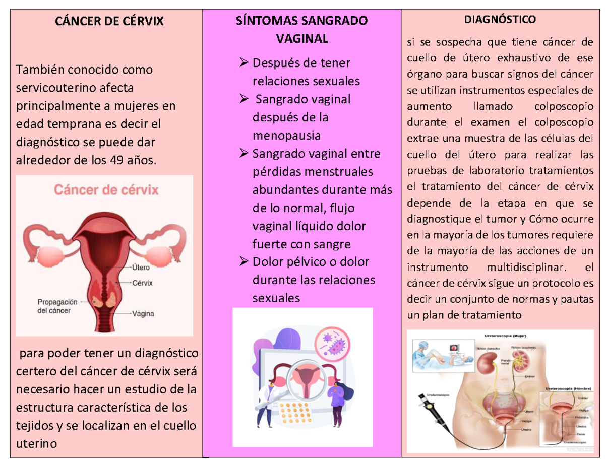 c-ncer-de-c-rvix-sdew-diagn-stico-s-ntomas-y-prevenci-n-studocu