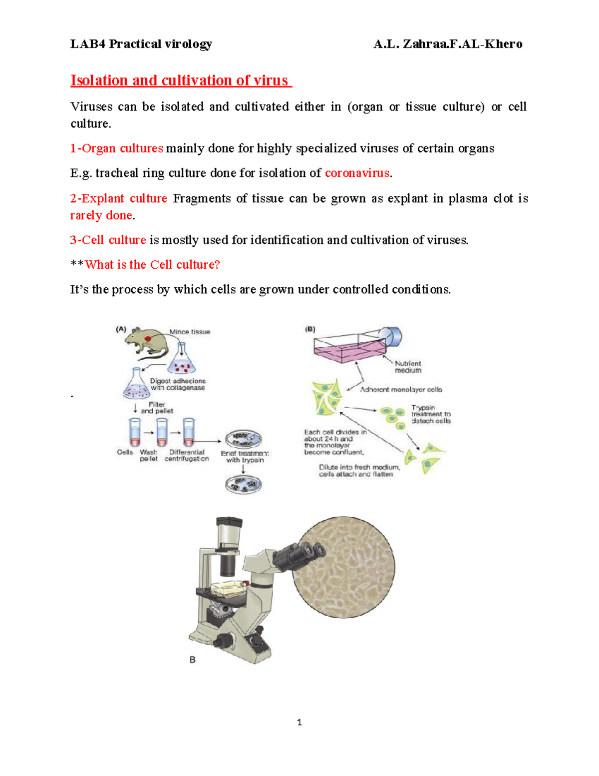 LAB4 Practical Virology: Isolation & Cultivation Techniques - Studocu