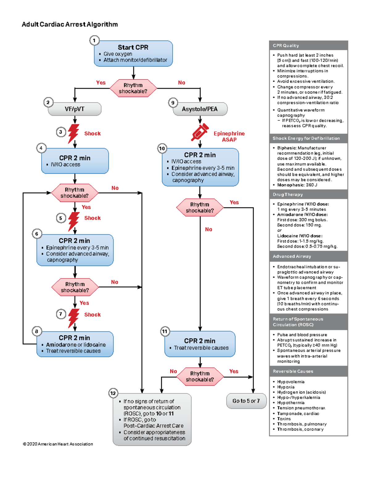 ACLS Adult Cardiac Arrest Algorithm Guide - Studocu