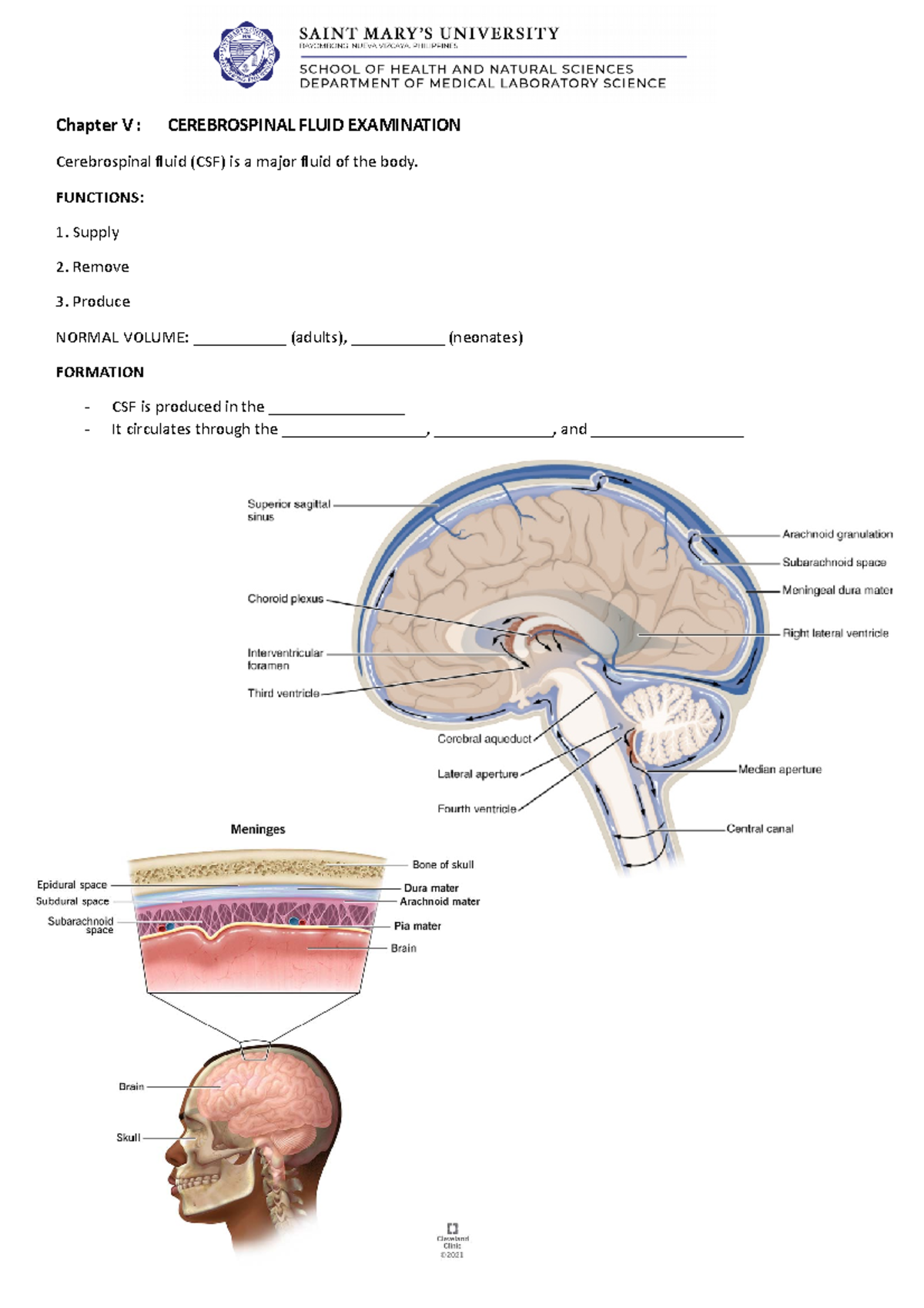 Chapter V CSF Copy - Chapter V : CEREBROSPINAL FLUID EXAMINATION ...