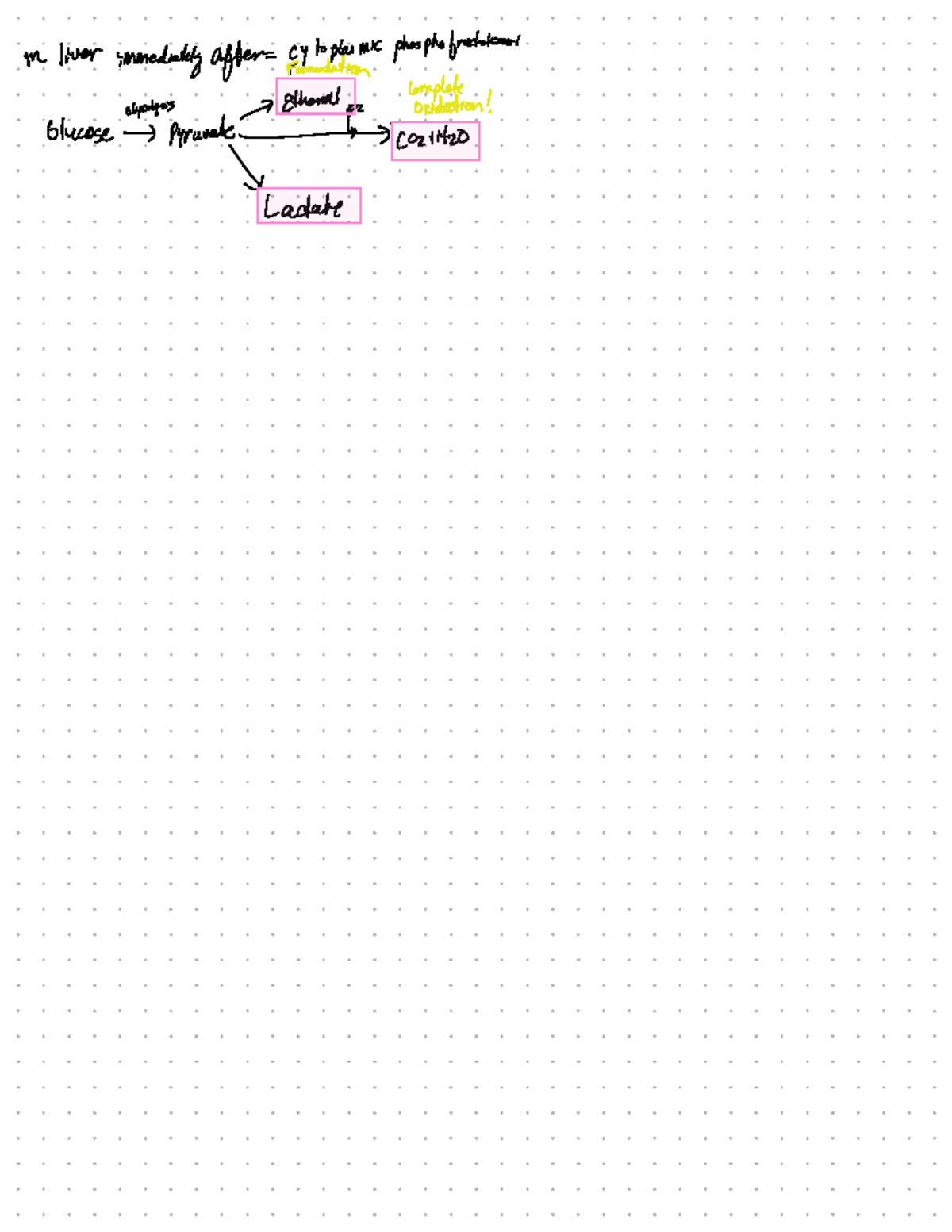 Glycolysis and Glucose Metabolism: Key Mechanisms & Regulation (BIO 101 ...