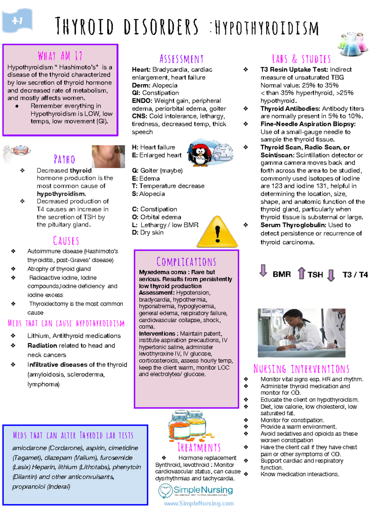 Endocrine Study Guide: Thyroid & Pituitary Disorders (Course #4) - Studocu