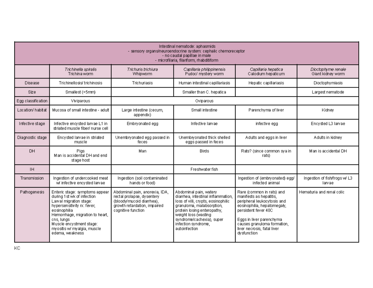 Nematodes Aphasmids: Sensory Systems and Pathogenesis Overview - Studocu