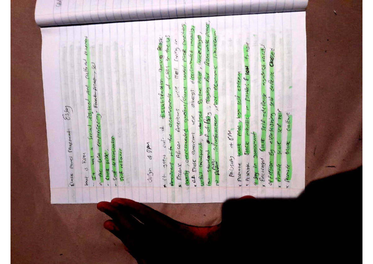 BPM 101: History Notes on Black Power Movements - Studocu