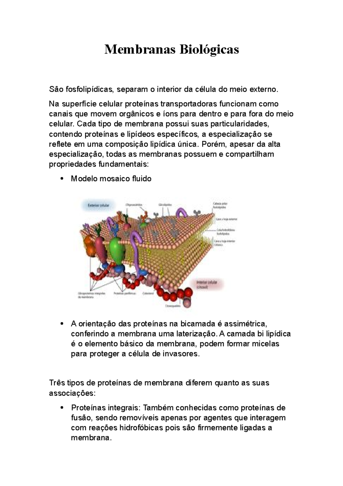 Membranas Biológicas - Um detalhado resumo sobre membrana plasmática ...