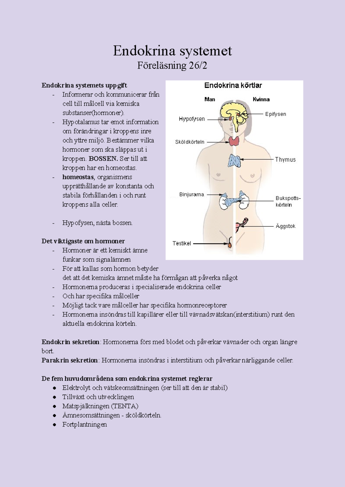 Endokrina systemet - Föreläsningsanteckningar och Hormoner - Studocu