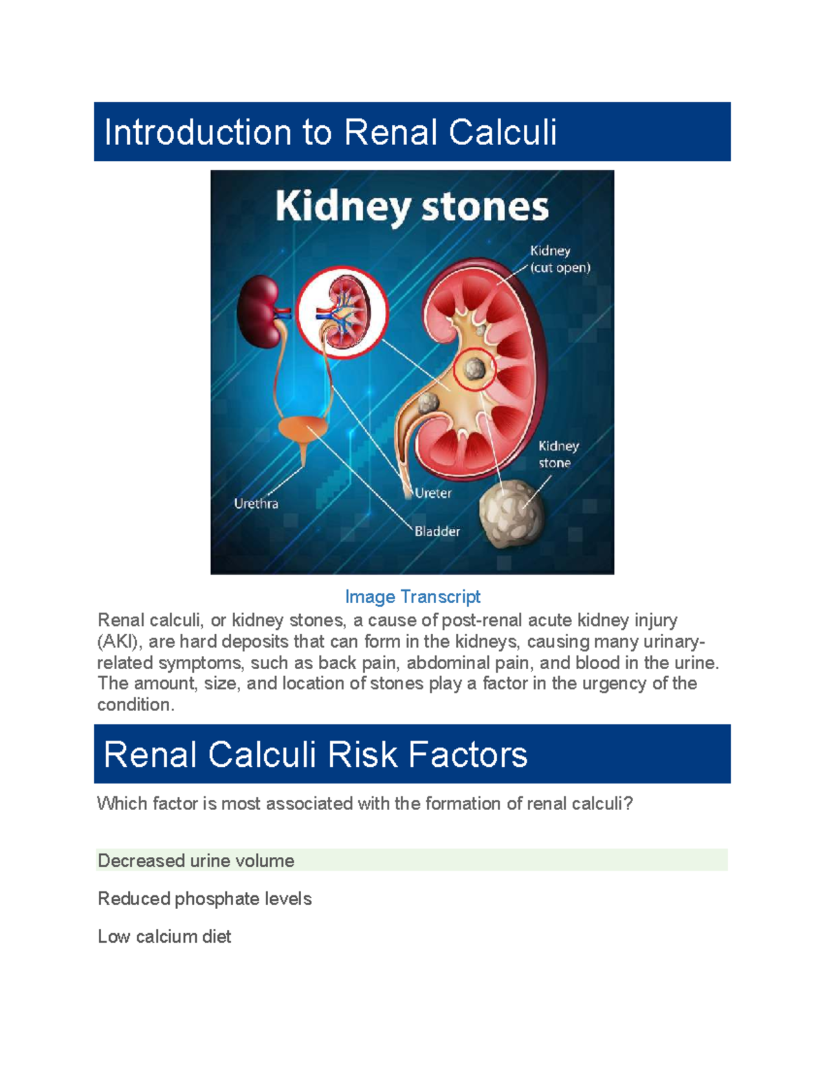 Edapt Renal Calculi: Understanding Types, Risks, and Management - Studocu