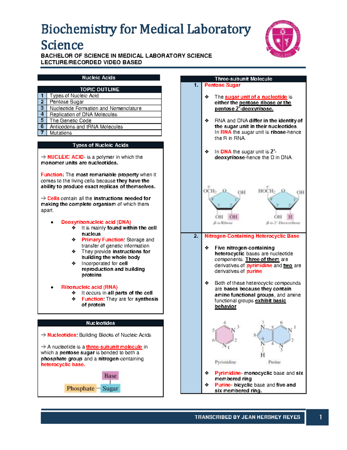 Lesson 7: Nucleic Acids Overview - BSc Medical Lab Science - Studocu