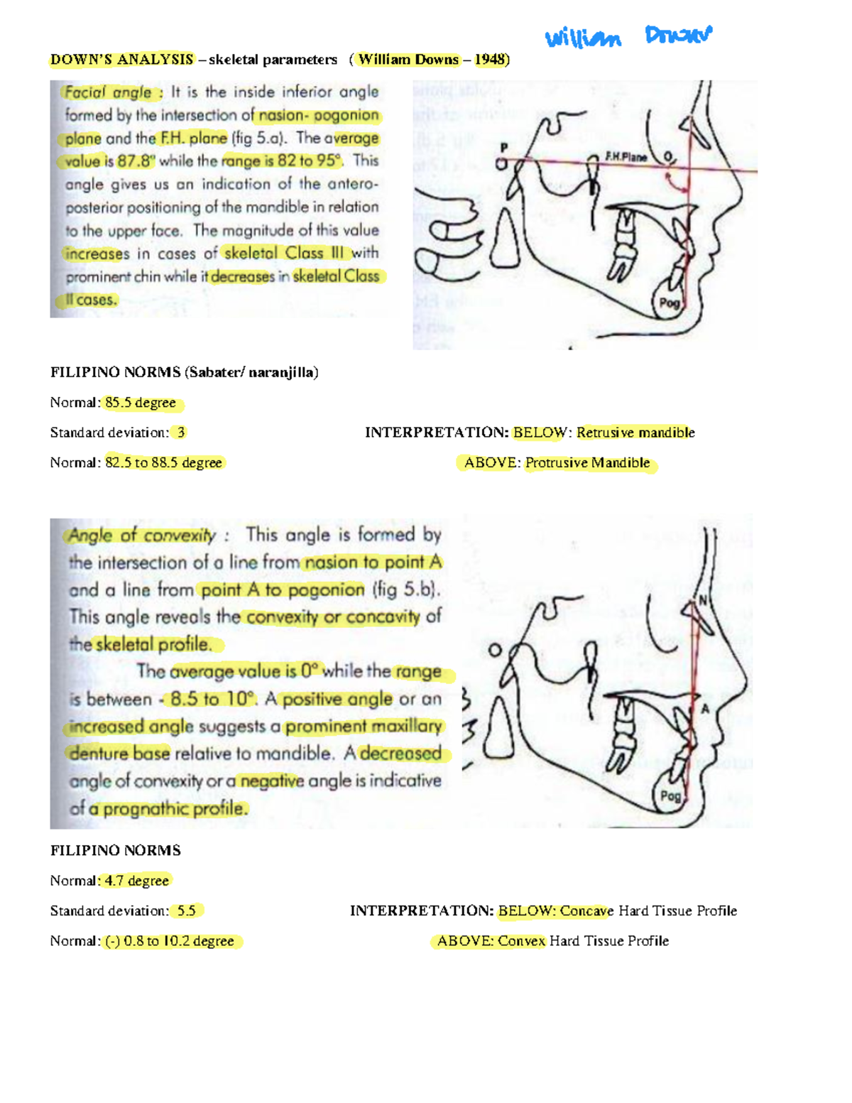 Ortho 101: Final Lecture PPT on Downs & Steiner's Analysis - Studocu