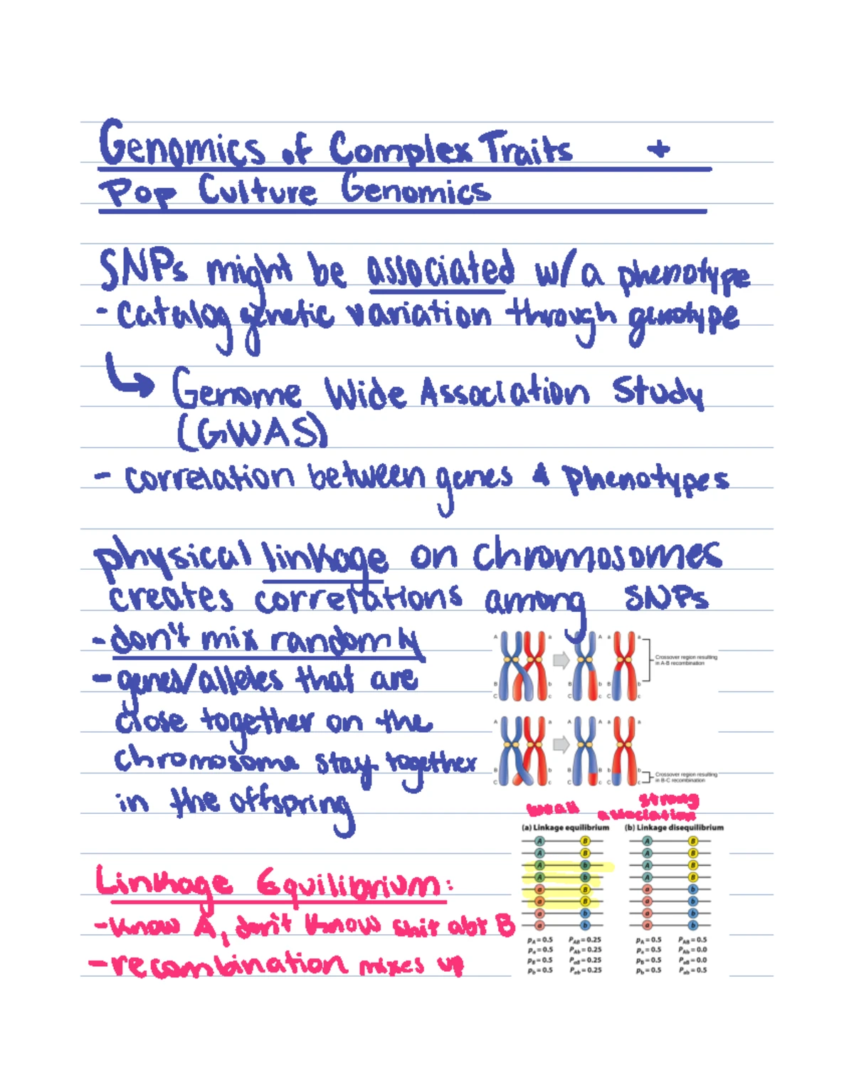 Lecture 10-3 - Geonomics of complex Traits pt 2 as GWAS studies grow in ...