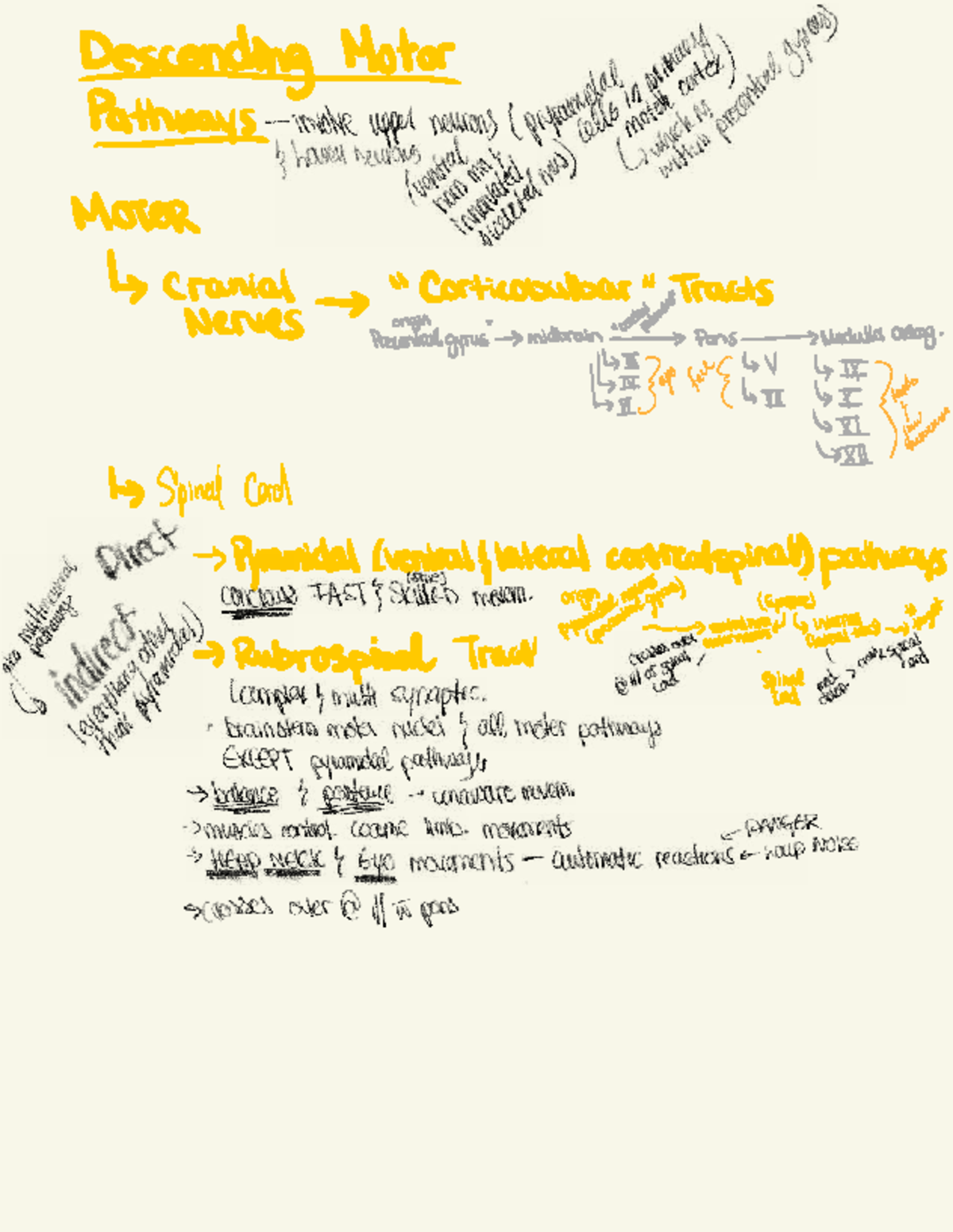 1106 -Scratch Scratch Notes Midterm 3:Final Exam Content -Descending ...