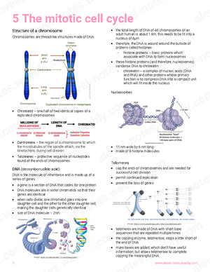 F214 Biology revision notes - Communication, Homeostasis and Energy The ...