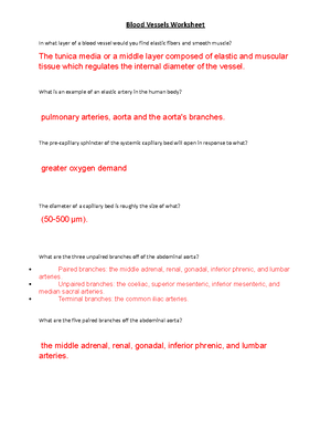 Week 3 Concepts: The Cardiovascular System: The Blood Vessels ...