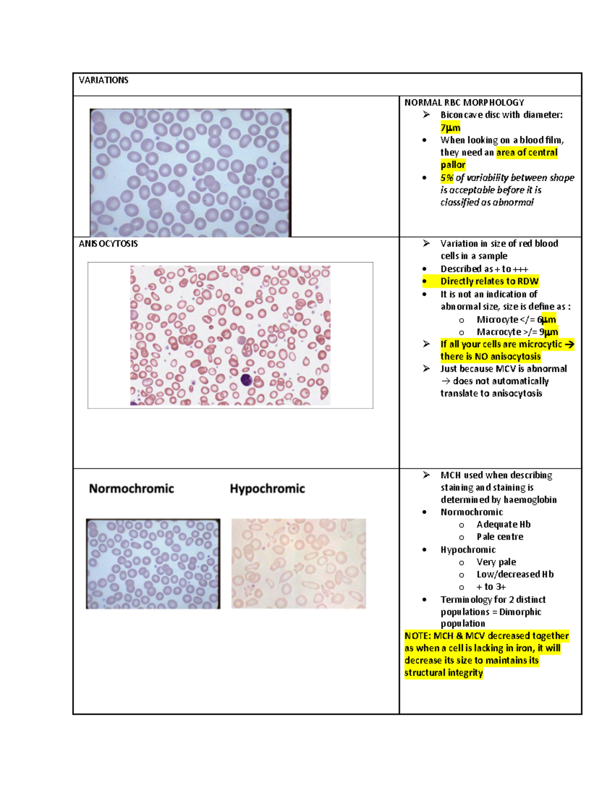 Haematology Cheat Sheet: Key Variations in RBC and WBC Morphology - Studocu