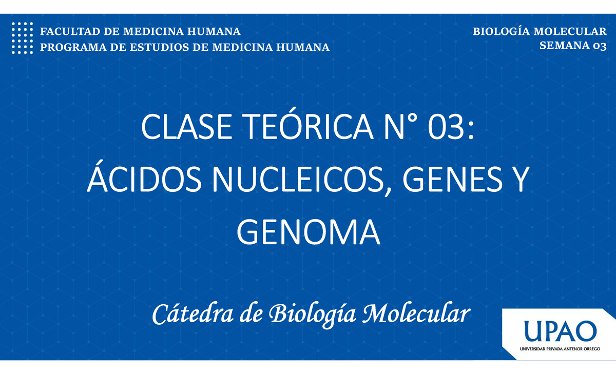 Biología Molecular - Semana 03: Ácidos Nucleicos y Genoma - Document Preview