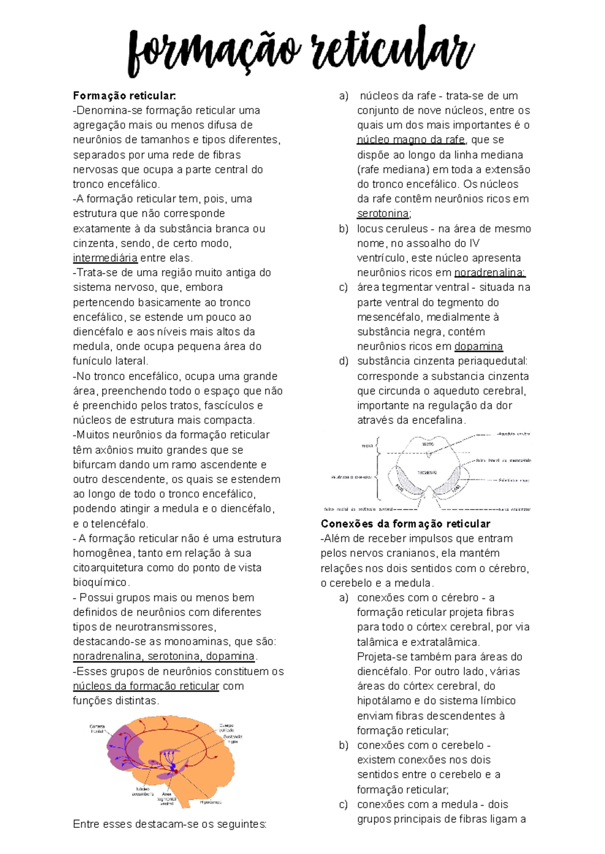 Formação reticular - Resumo - Neuroanatomia funcional - Formação ...