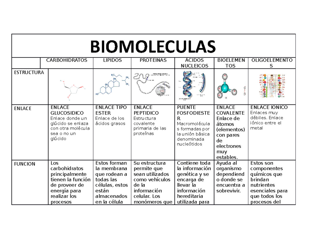 Biomoleculas-Cuadro comparativo - BIOMOLECULAS CARBOHIDRATOS LIPIDOS ...