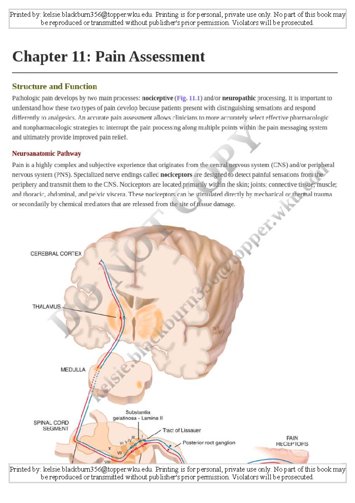 Physical Examination & Health Assessment Overview - Studocu