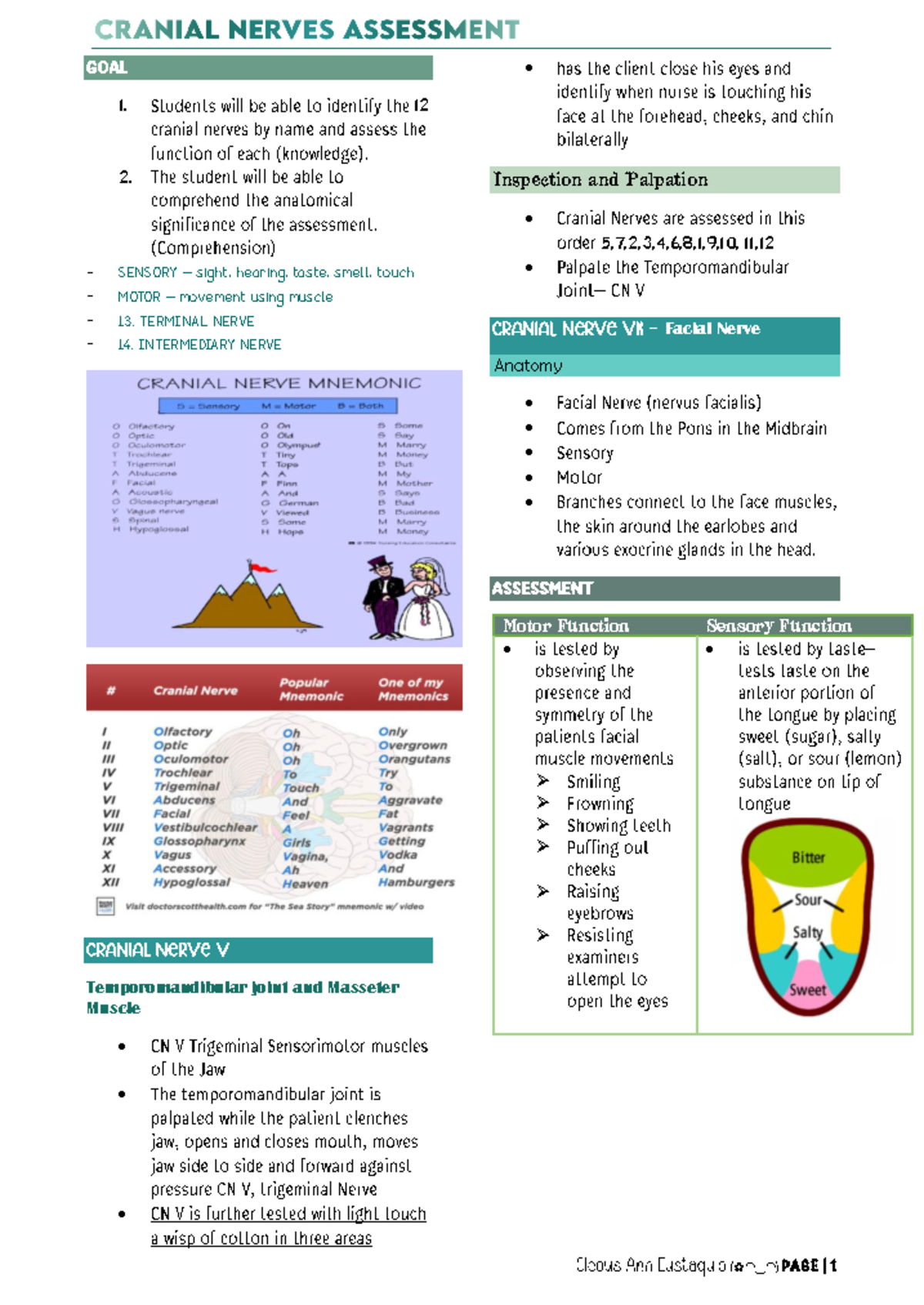 Cranial Nerves Assessment: Anatomy & Function Overview for 1.12 - Studocu