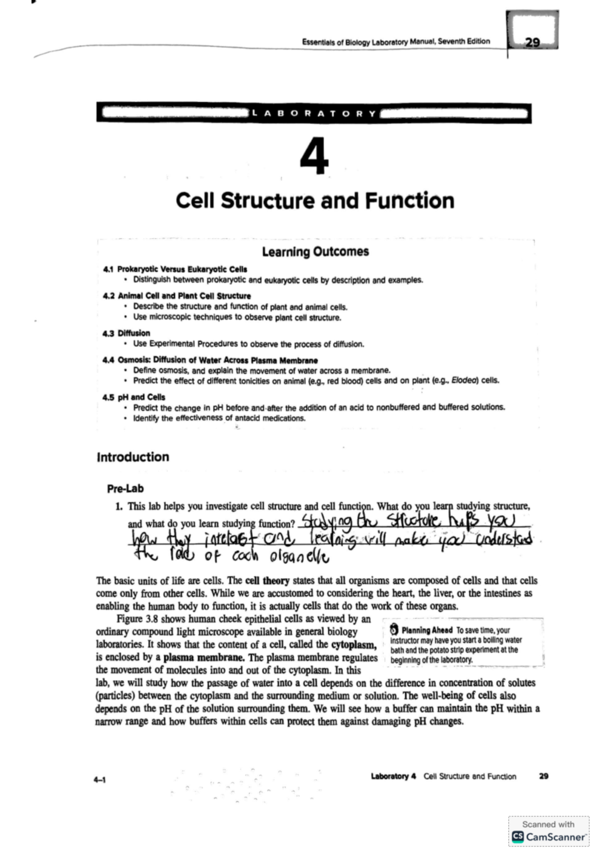 Lab 4 - biology - Essentials of Biology Laboratory Manual, Seventh ...