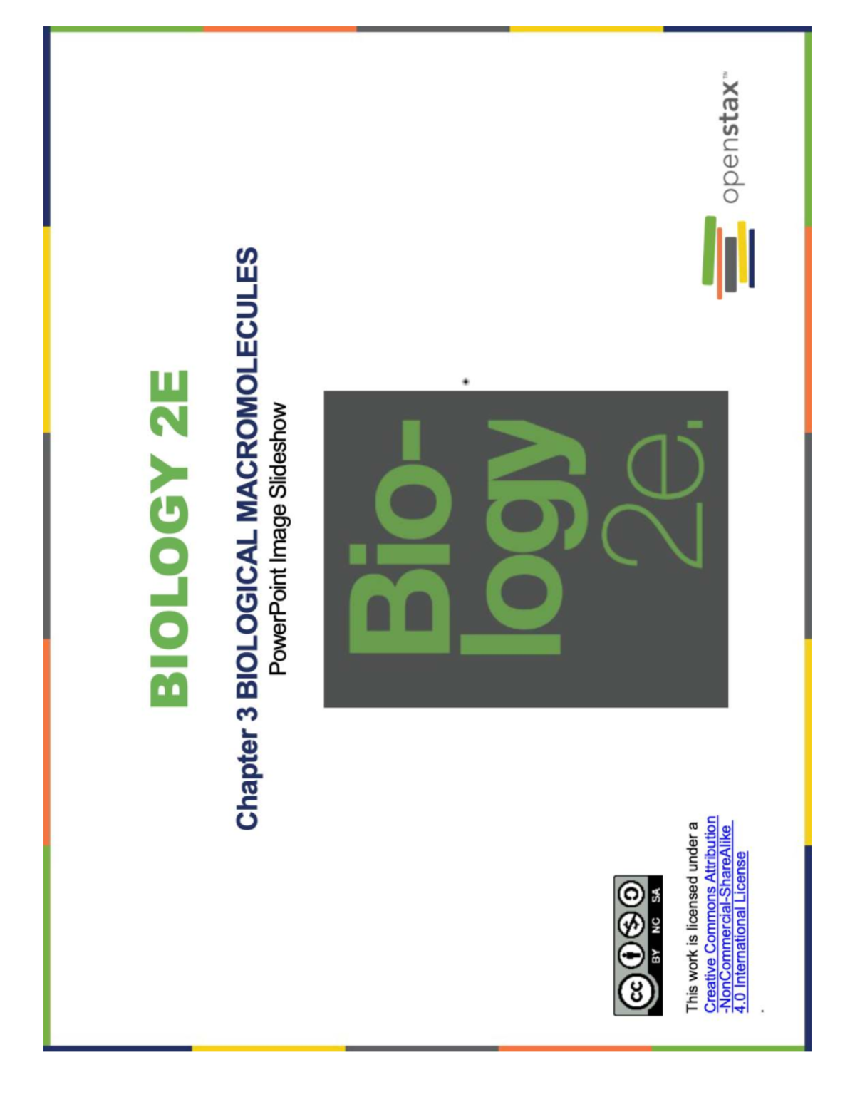 BIO 101 Chapter 3: Biological Macromolecules Overview - Studocu