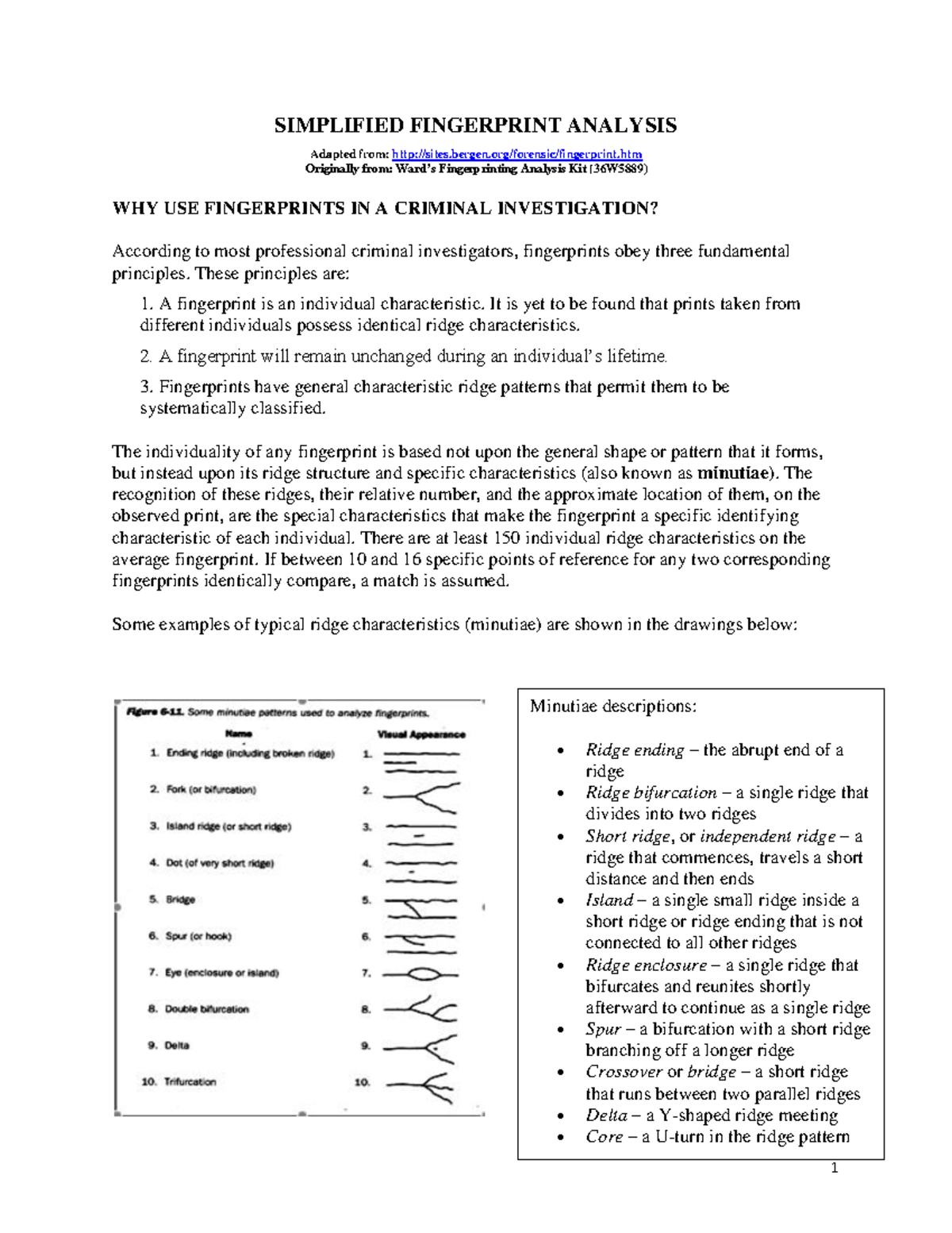 Fingerprint Analysis in Criminal Investigations: Key Principles and ...