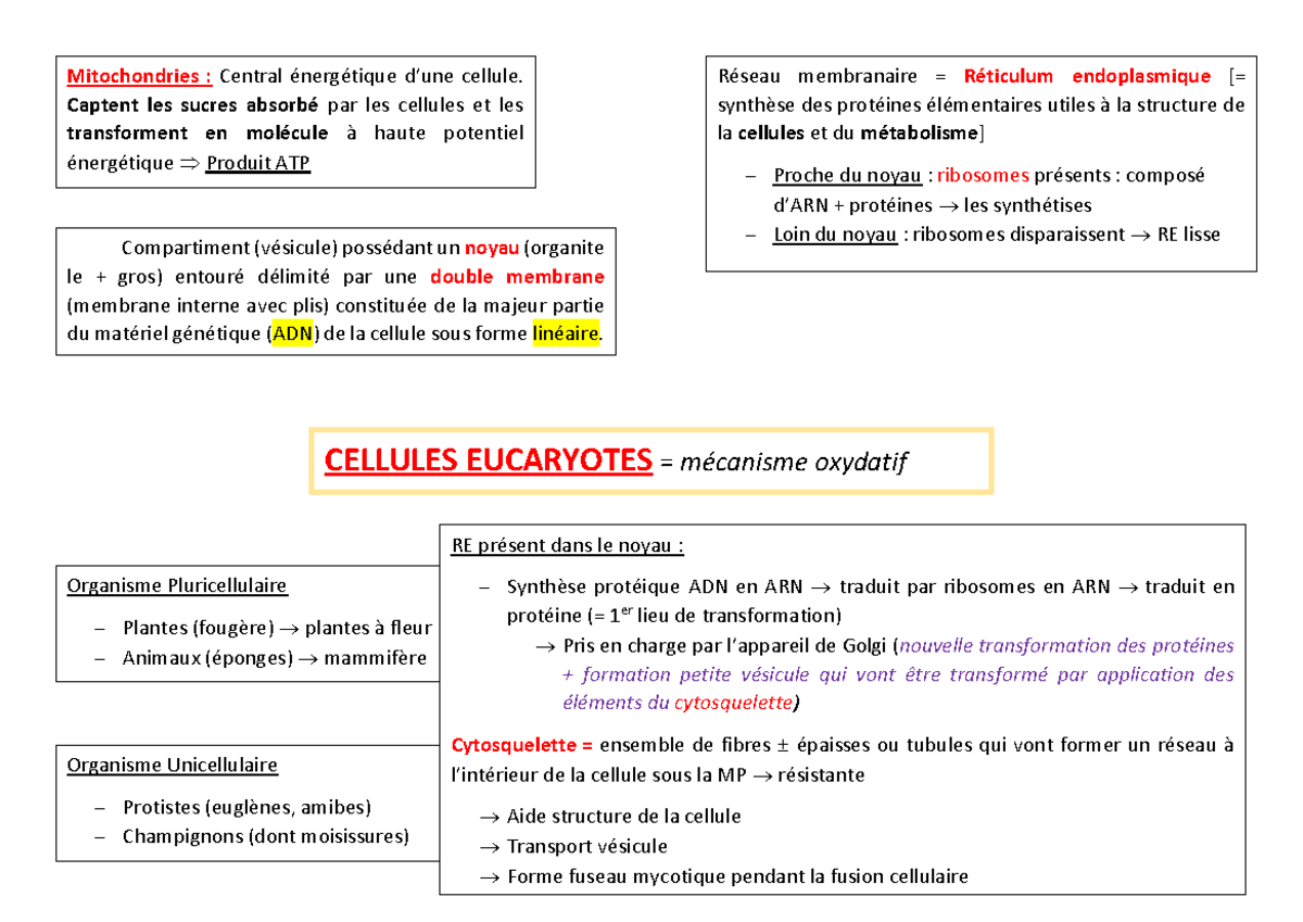 Cellules Eucaryotes - Notes Complètes pour Biologie 101 - Studocu