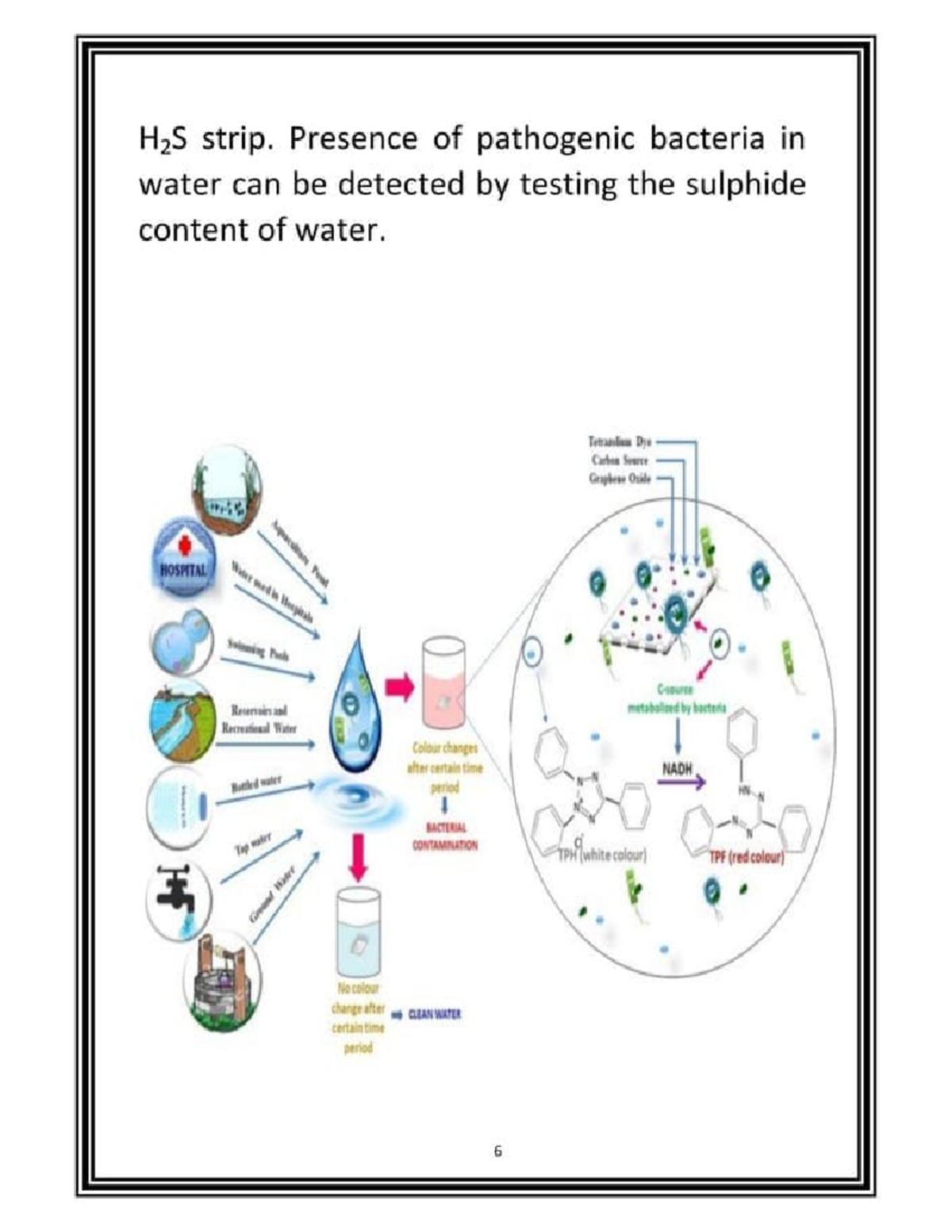 Chem 101 Final Exam: H2S Testing for Bacterial Contamination in Water ...