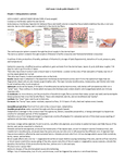 BIOL 2401 - Anatomy and Physiology I - Studocu