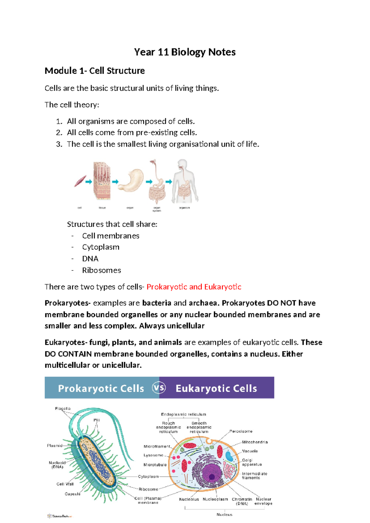 Year 11 Biology Notes - Module 1: Cell Structure & Functions - Studocu