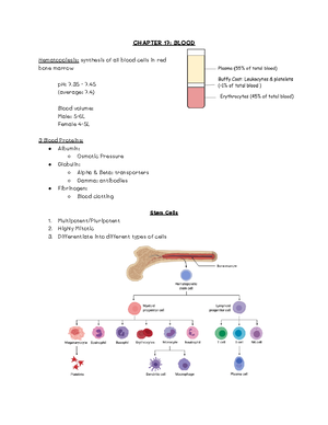 Understanding Capillaries: Types, Structures, and Functions ...