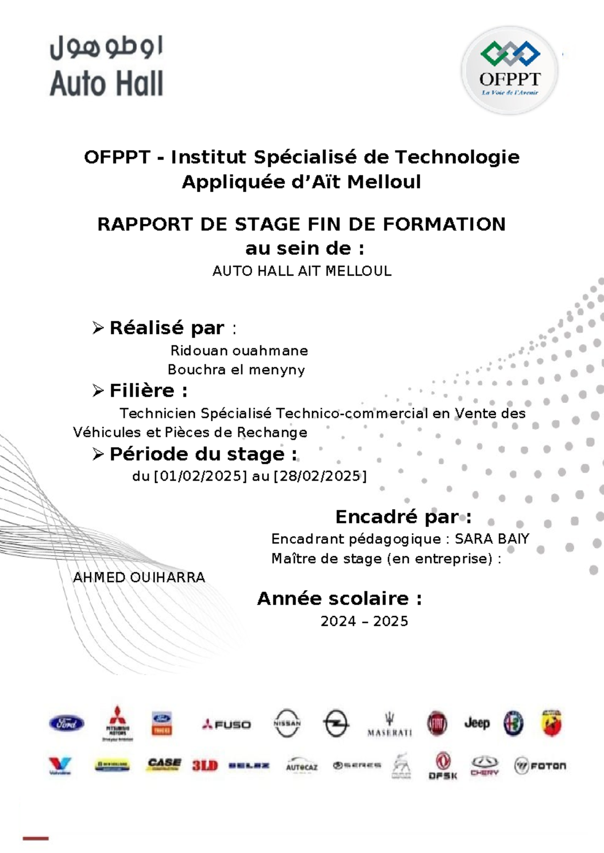 Rapport de Stage en Vente Automobile - BTS Technico-Commercial - 2024-2025 - Document Preview