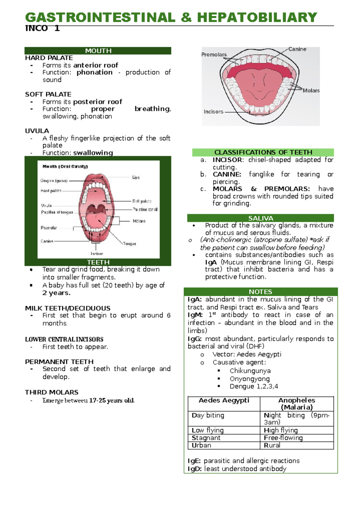 Inbound 7516606495564602918 - INCO 1 MOUTH HARD PALATE Forms its ...