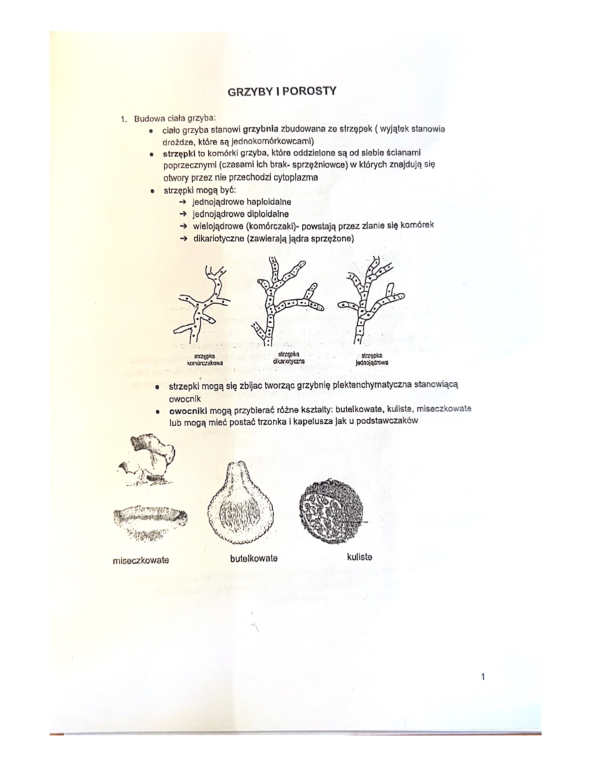 Grzyby-I- Porosty - Biologia rozszerzona - Studocu