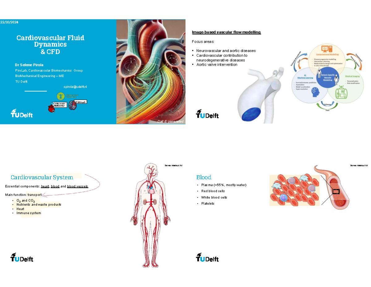 Lecture 11b: Vascular Flow Modelling in Cardiovascular Fluid Dynamics ...