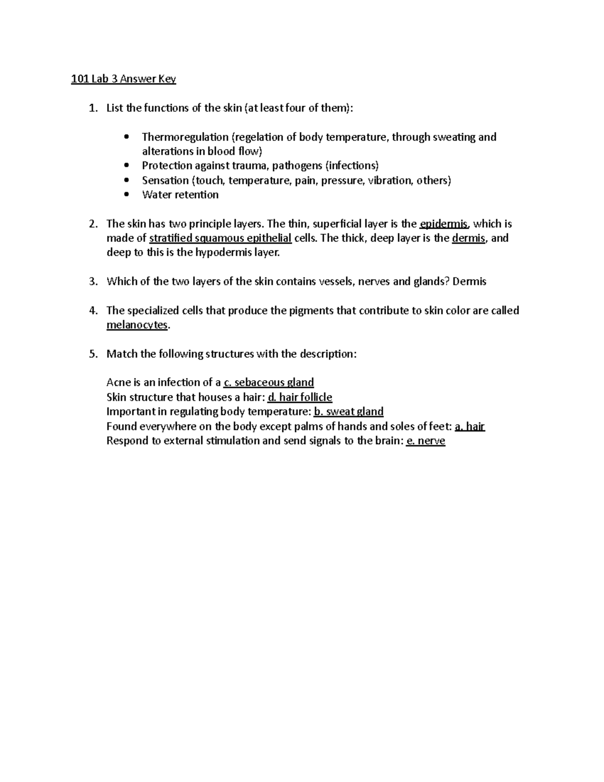 101 Lab 3 Skin Functions and Structure Answer Key - Studocu