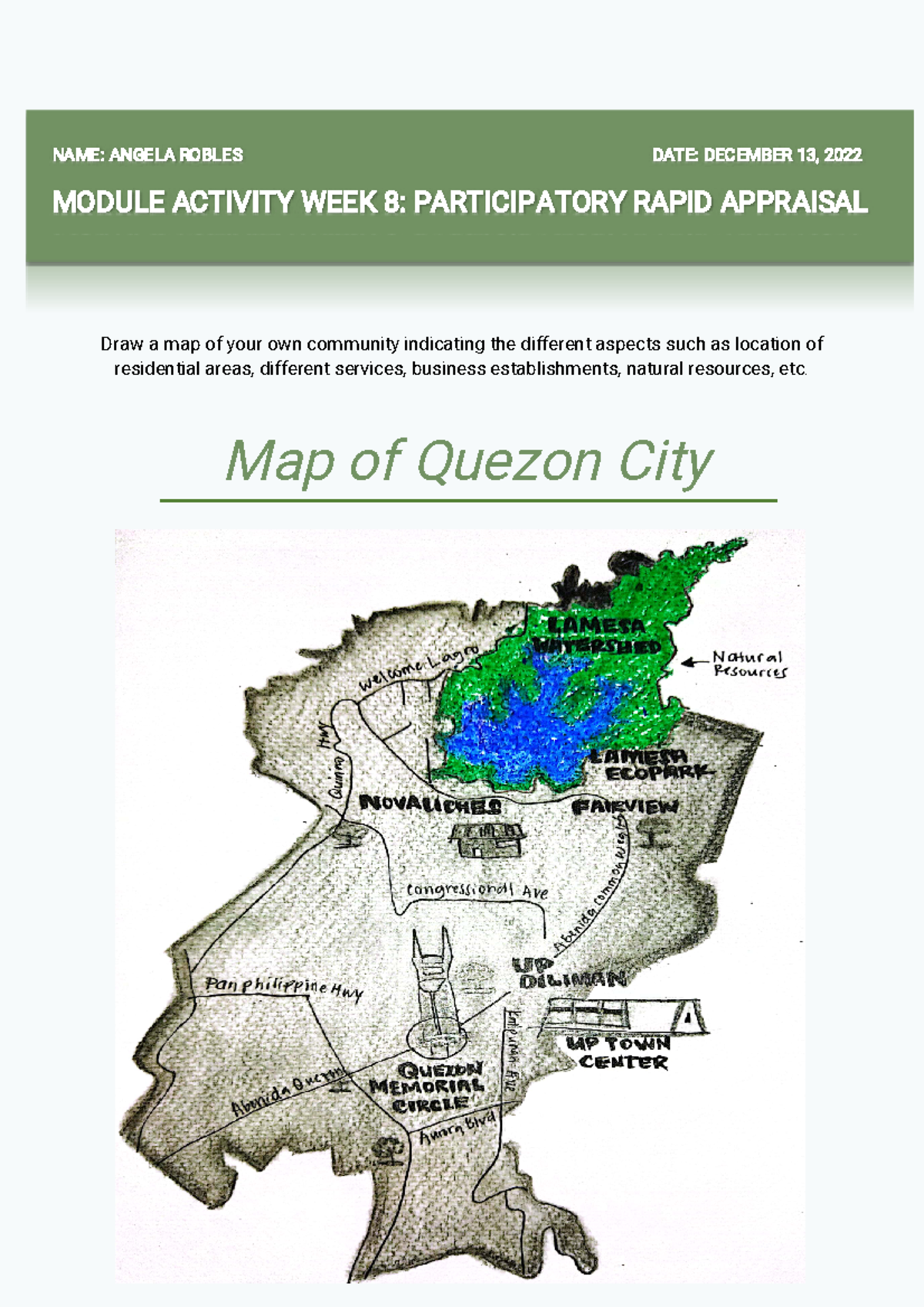 Module Activity: Week 8 - Community Mapping and Journal Insights - Studocu