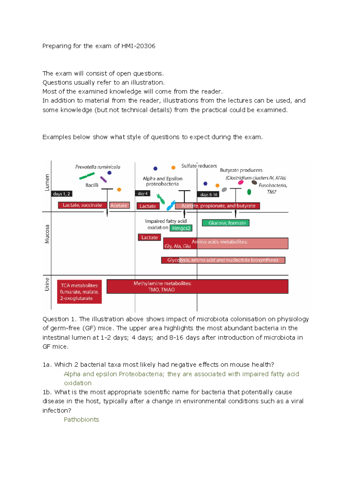 HMI Exam Prep: Sample Questions & Answers for Open-Format Exam ...