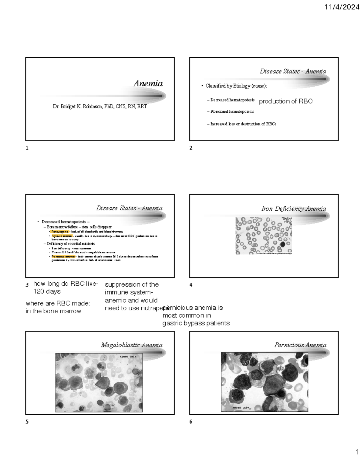 Anemia Lecture Notes - power point - Anemia Dr. Bridget K. Robinson ...
