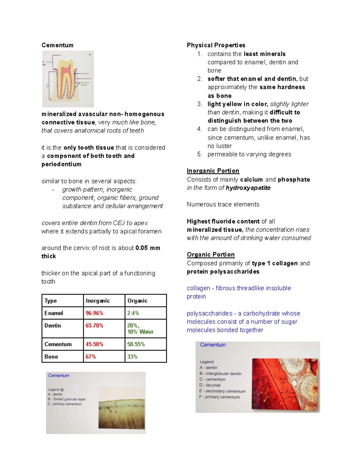 Chapter 1: Tooth Measurements in Dental Anatomy (DA 101) - Studocu