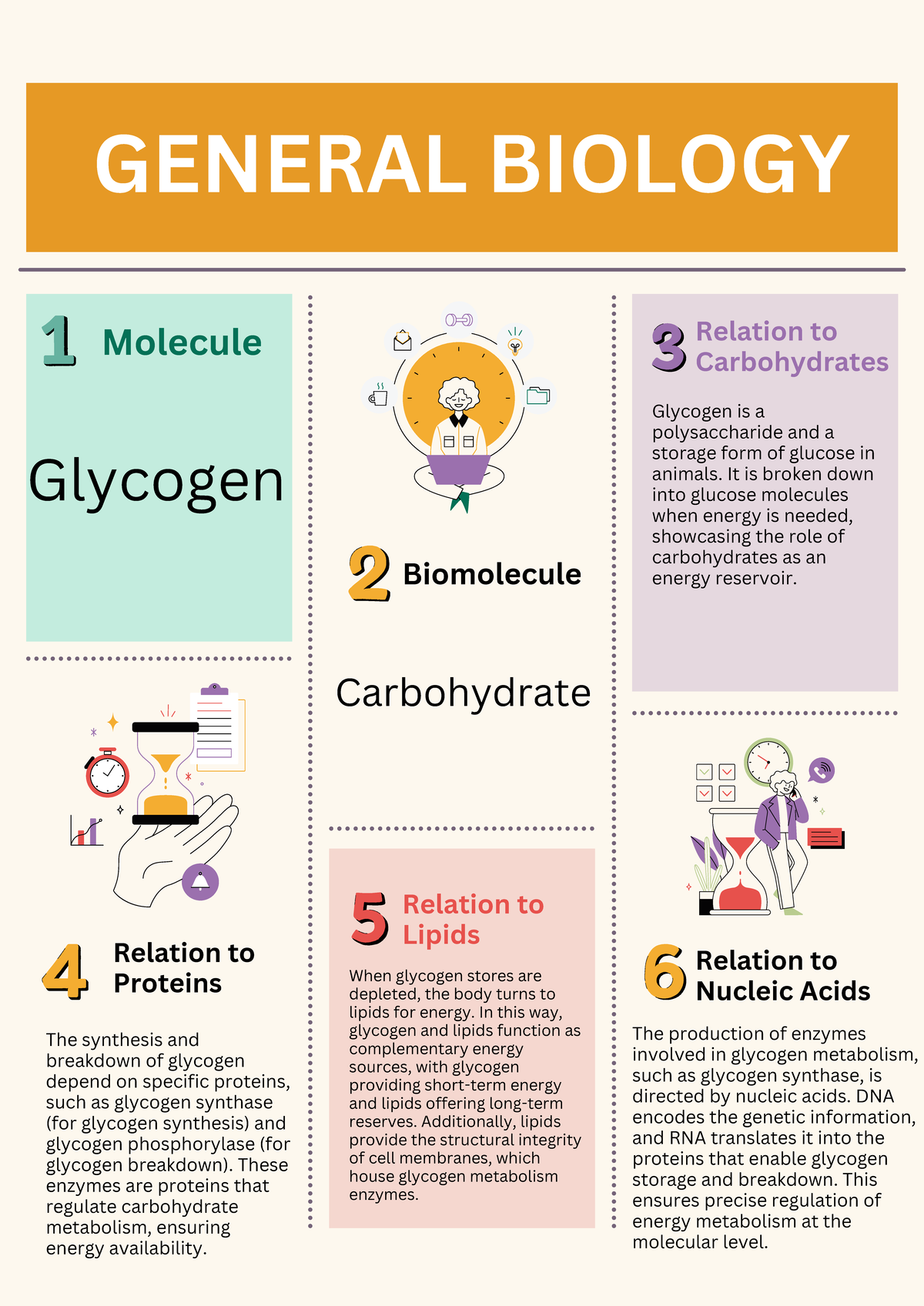 BIO 101: Glycogen's Role in Carbohydrate Metabolism - Studocu